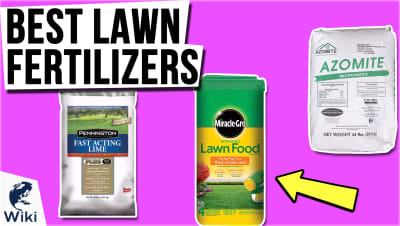best Best Lawn Fertilizers