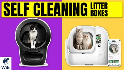 The 10 Best Self Cleaning Litter Boxes of 2026