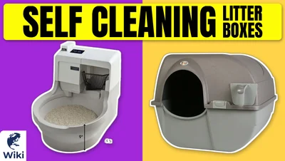 Best Self Cleaning Litter Boxes
