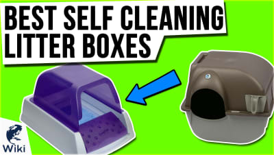 Best Self Cleaning Litter Boxes