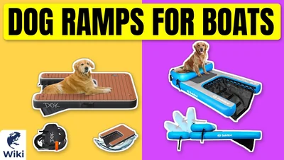 Best Dog Ramps For Boats