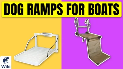 Best Dog Ramps For Boats