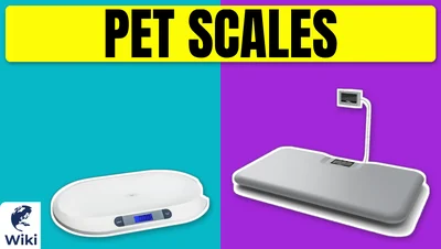 Best Pet Scales