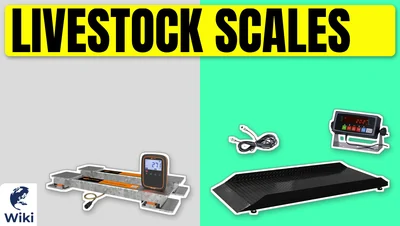 Best Livestock Scales