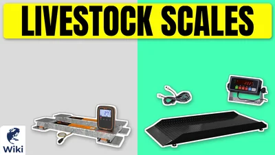 Best Livestock Scales