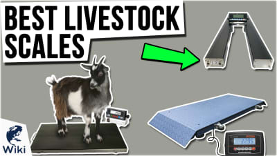 Top 10 Livestock Scales | Video Review