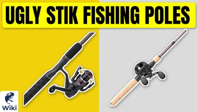 Best Ugly Stik Fishing Poles