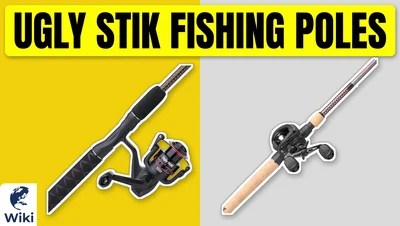 Best Ugly Stik Fishing Poles