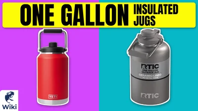 Best One Gallon Insulated Jugs