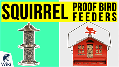 Best Squirrel Proof Bird Feeders