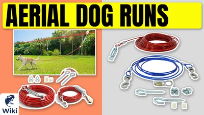 Best Aerial Dog Runs