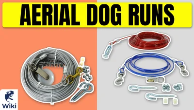 Best Aerial Dog Runs
