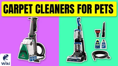 Best Carpet Cleaners For Pets