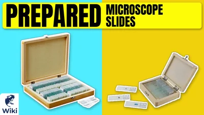 The 10 Best Prepared Microscope Slides of 2026