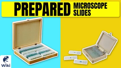 Best Prepared Microscope Slides