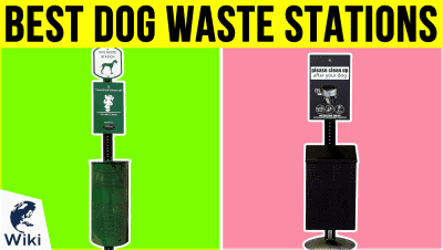 dogs