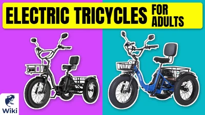 The 8 Best Electric Tricycles For Adults of 2026