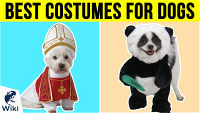Top 10 Costumes For Dogs | Video Review