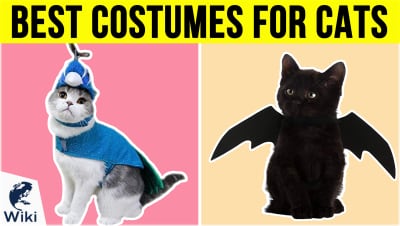 Top 10 Costumes For Cats | Video Review