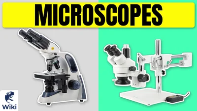 Best Microscopes