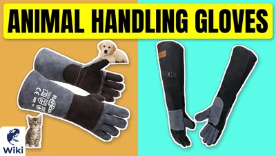 Best Animal Handling Gloves