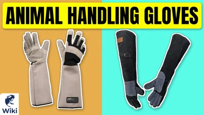 Best Animal Handling Gloves