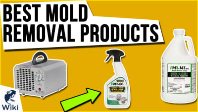 best Best Mold Removal Products