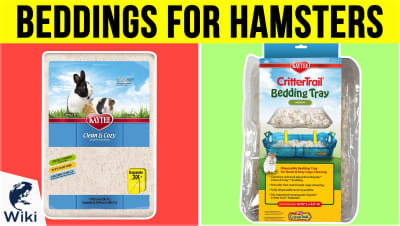 Top 7 Beddings For Hamsters | Video Review