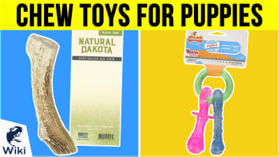 Top 10 Chew Toys For Puppies | Video Review