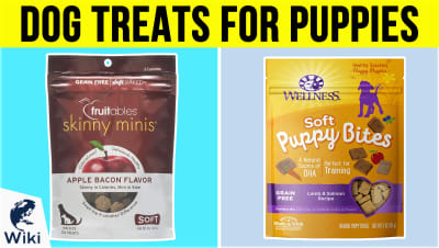 Top 10 Dog Treats For Puppies | Video Review