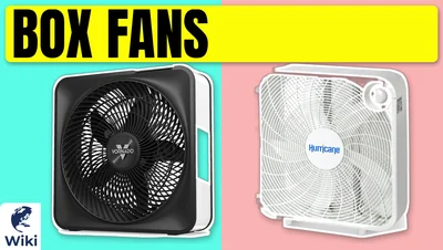 Best Box Fans