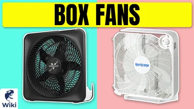 Best Box Fans