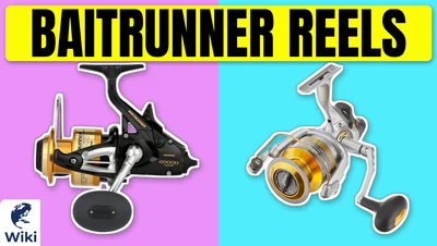 Best Baitrunner Reels