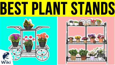 Top 10 Plant Stands | Video Review