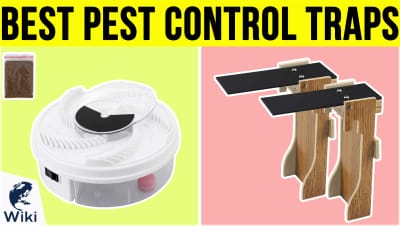 Top 10 Pest Control Traps | Video Review