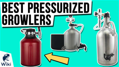 Best Pressurized Growlers