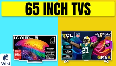 The 9 Best 65 Inch TVs of 2026
