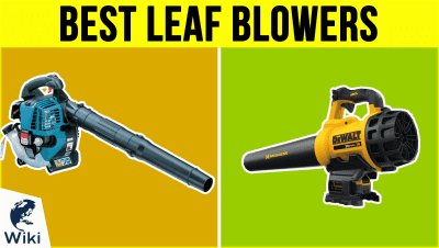 Top 10 Leaf Blowers | Video Review