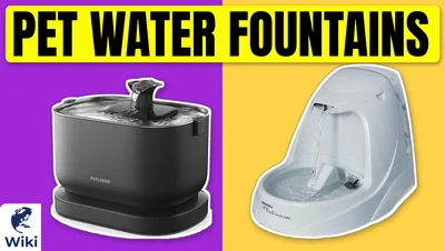 The 9 Best Pet Water Fountains of 2026