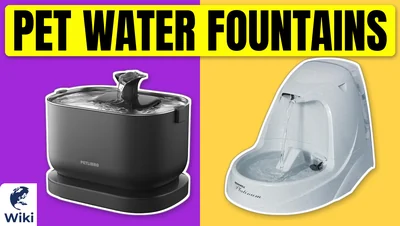 Best Pet Water Fountains