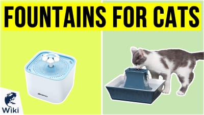 Top 10 Pet Water Fountains | Video Review