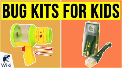Best Bug Kits For Kids
