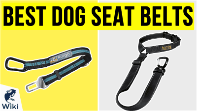 Best Dog Seat Belts