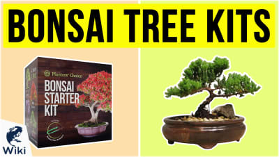 Best Bonsai Tree Kits