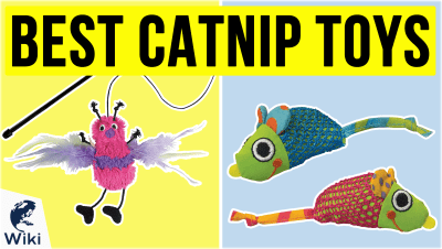 Best Catnip Toys