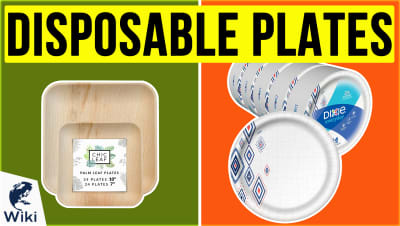 Best Disposable Plates