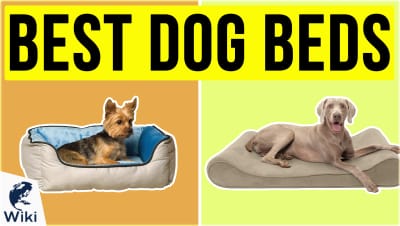 Top 10 Dog Beds | Video Review
