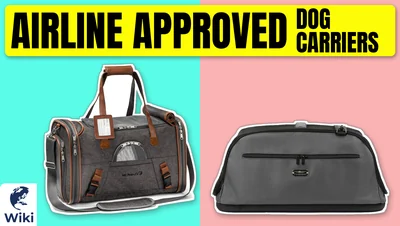 The 10 Best Airline Approved Dog Carriers of 2026