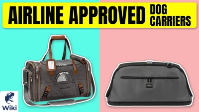 Best Airline Approved Dog Carriers