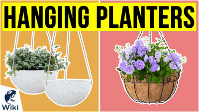 Best Hanging Planters